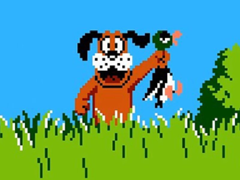 Not for the Dinner Table: Birds in&nbsp;Games