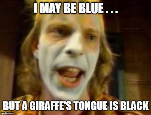 salue your shorts giraffe black